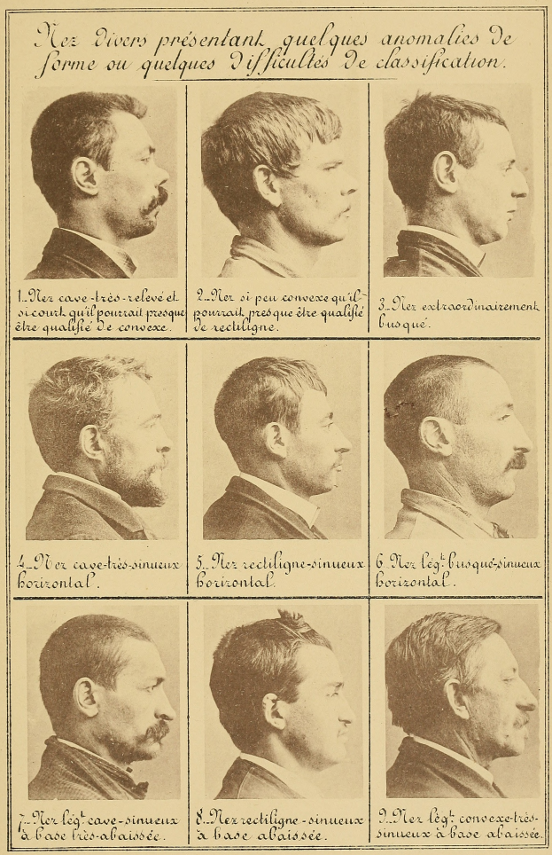 Ein altes Buch mit Abbildungen verschiedener Männergesichter, jedes zeigt einen anderen Haarschnitt, mit begleitendem Text, der die Stile beschreibt.