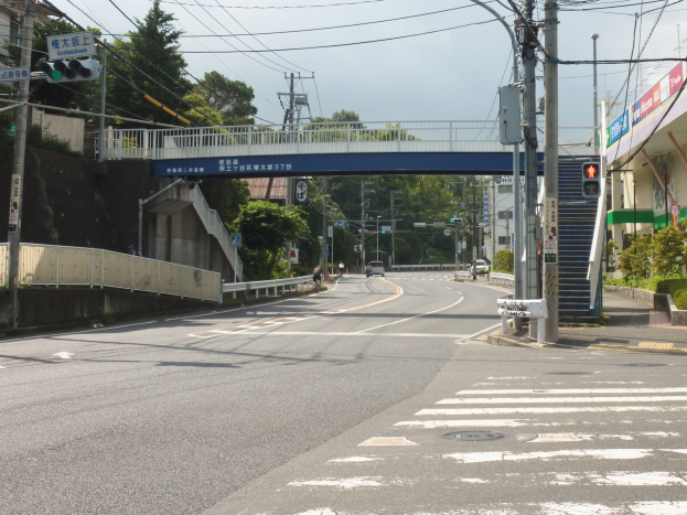Stadtstraße mit einer Fußgängerbrücke darüber, Fahrzeuge auf der Straße, Strommasten mit Drähten, Verkehrsampeln, Schilder, Gebäude mit Fenstern, Bäume, Pflanzen und ein Himmel als Hintergrund.