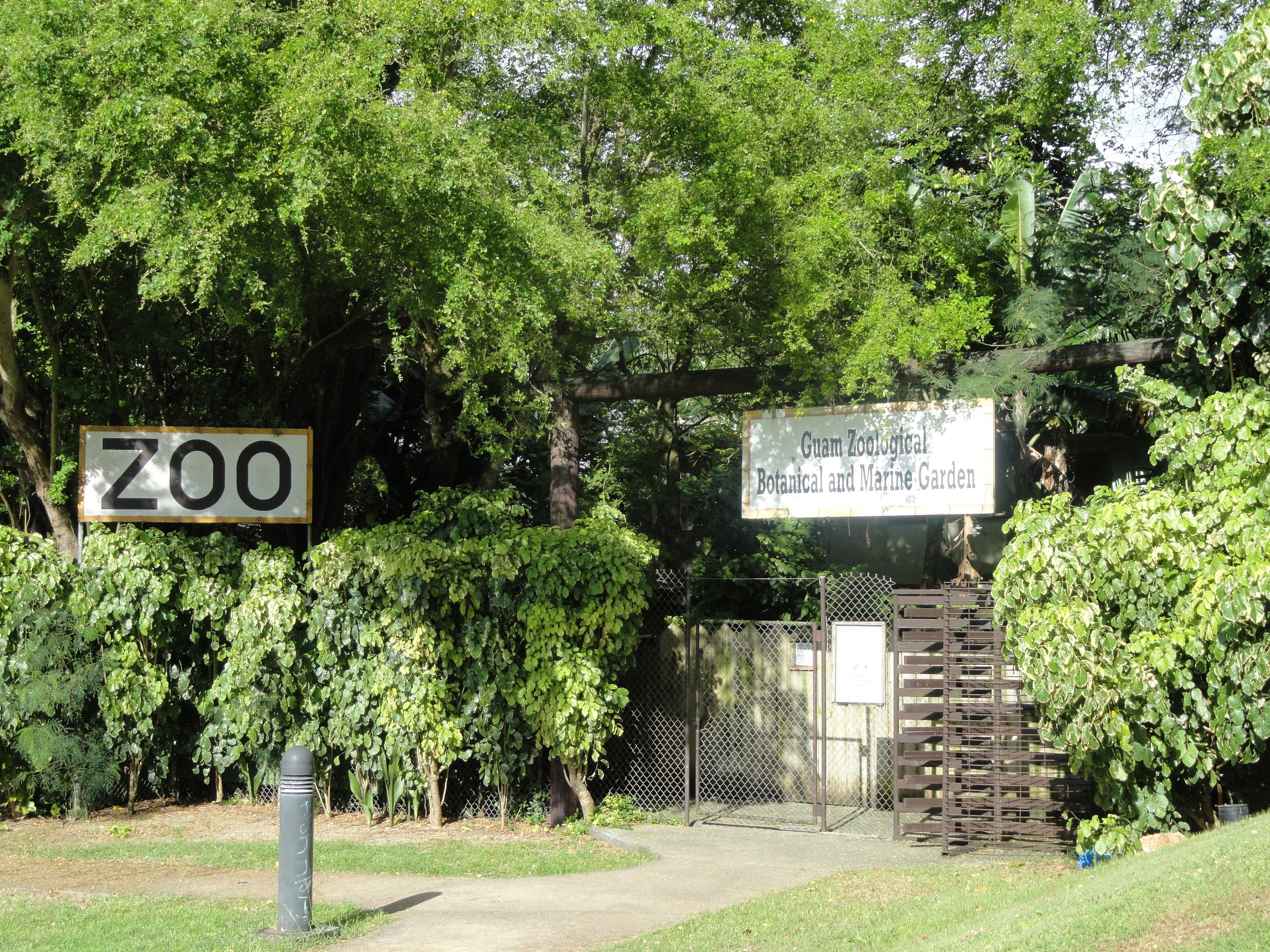 Eintritt in einen Zoo mit einem "Zoo"-Schild, umgeben von saftigem Grün, hohen Bäumen, einem klaren blauen Himmel, einem Pfahl im Vordergrund und einem Maschendrahtzaun im Hintergrund.