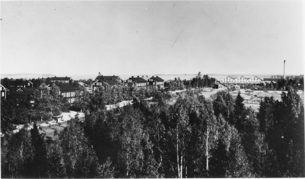 Ein Schwarz-Weiß-Foto einer Stadt mit hohen, grünen Bäumen im Vordergrund, die Schatten spenden, und Gebäuden im Hintergrund.