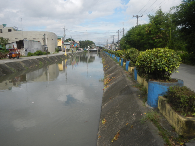 Flutstraße in der Stadtmitte mit Wasser auf der Straße, Bäumen und Pflanzen auf der rechten Seite, Fahrzeugen auf der linken Seite, Gebäuden und Strommasten mit Drähten im Hintergrund und bewölktem Himmel oben.