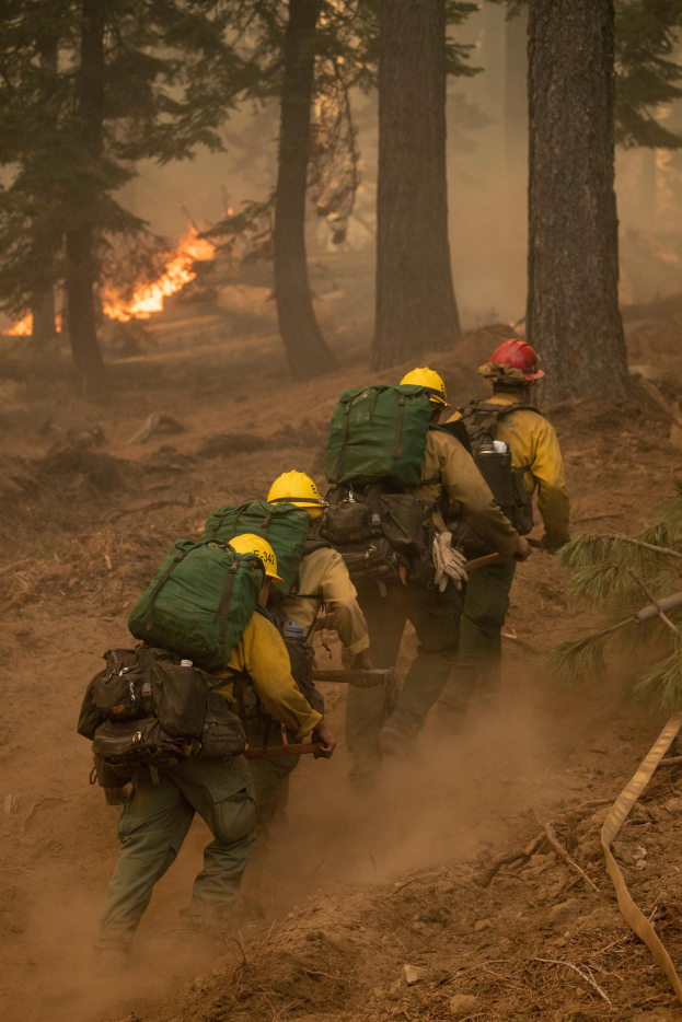 Eine Gruppe von Feuerwehrleuten in Helmen und Rücksöcken geht durch einen Wald mit einem Feuer in der Ferne.