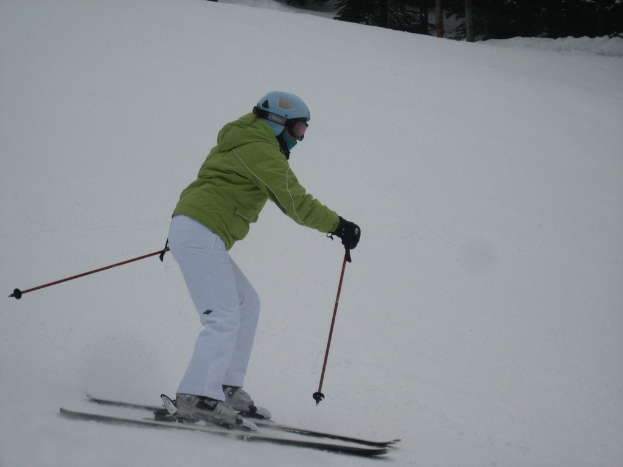 Eine Person fährt Ski auf einer schneebedeckten Piste umgeben von vielen Bäumen.