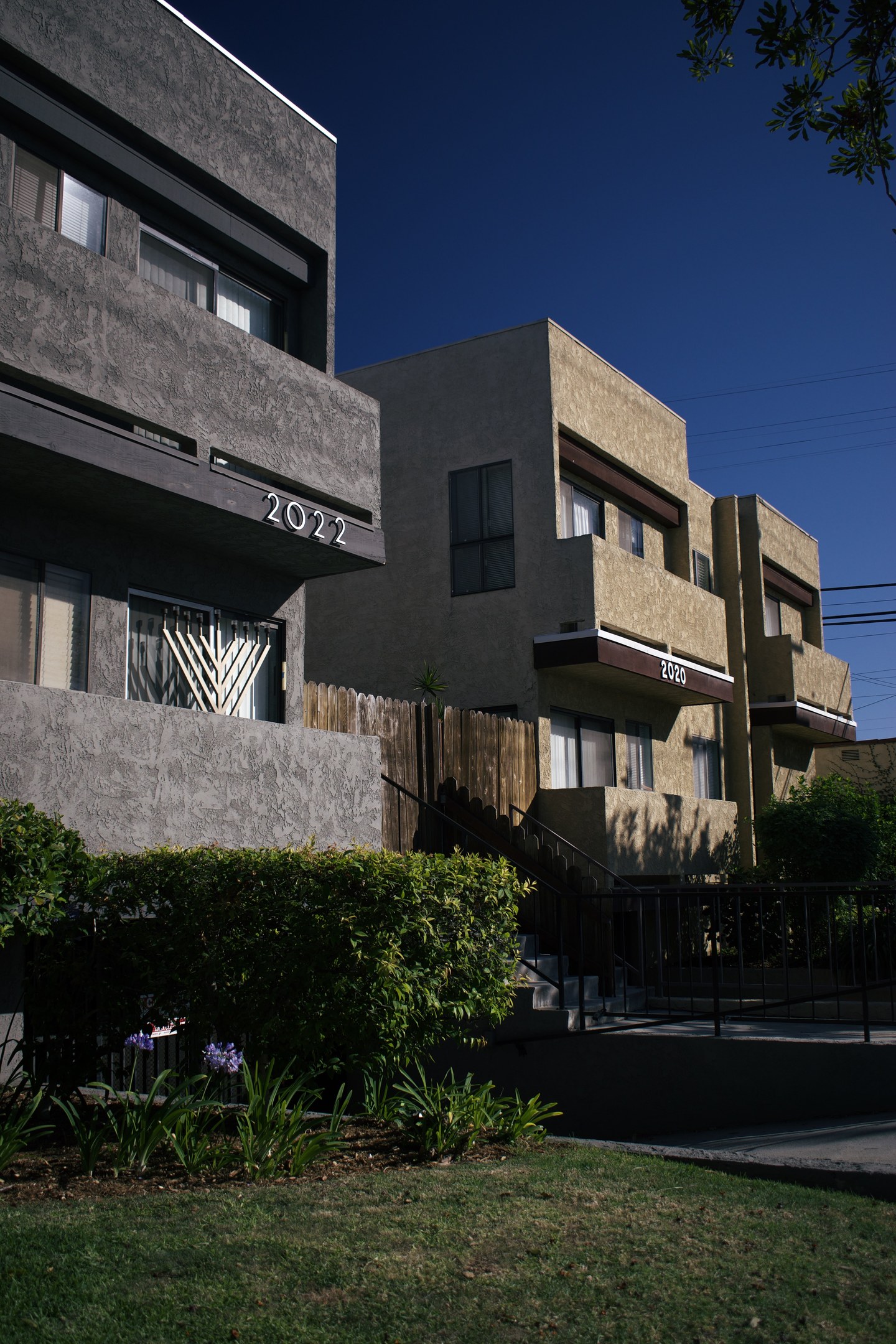 Eine Reihe von Wohngebäuden in San Francisco, Kalifornien, mit sichtbaren Fenstern, Pflanzen, Gras, einem Zaun, einer Treppe, einem Baum, Stromleitungen und einem Himmel als Hintergrund.