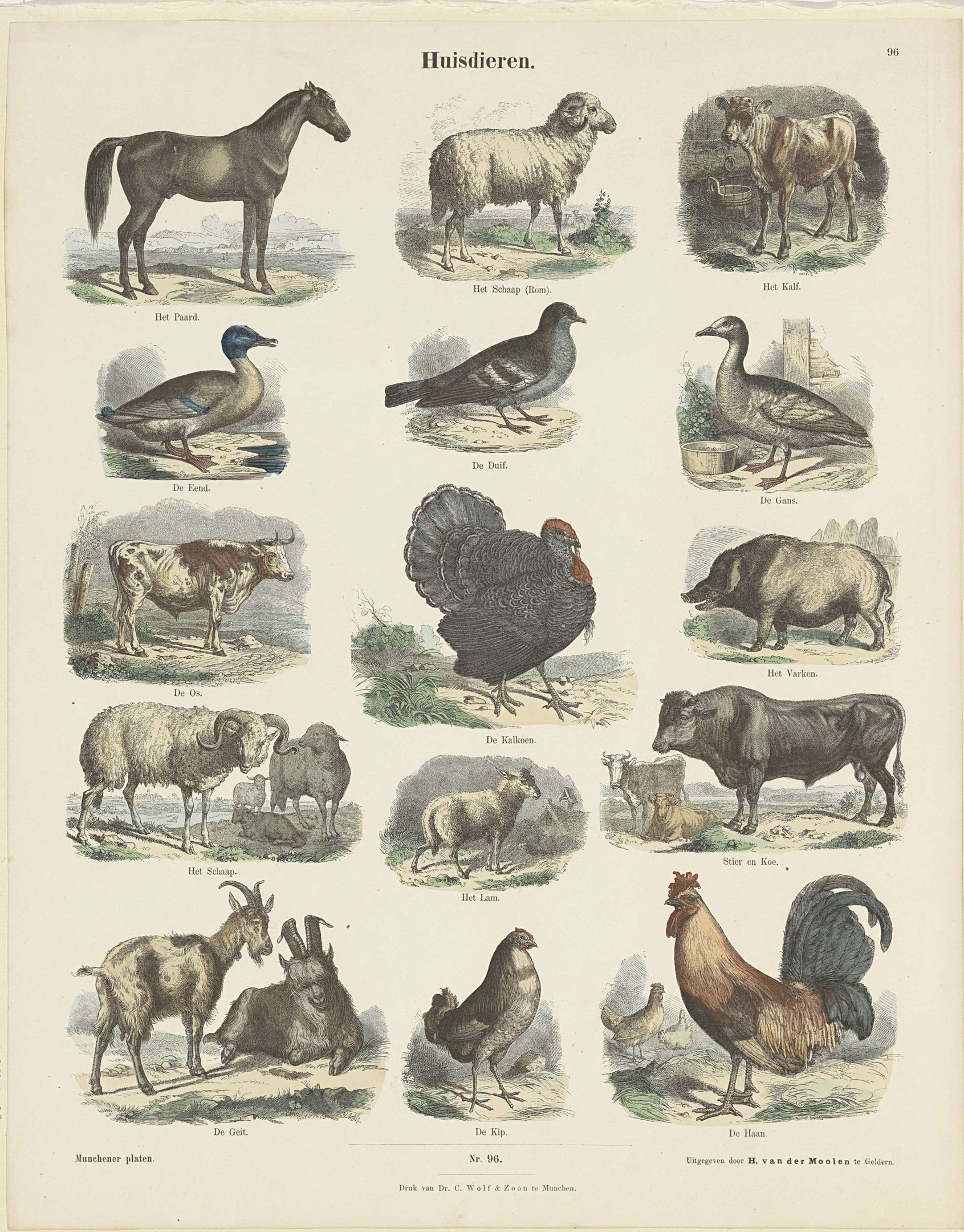 Ein Kinderbuch mit Illustrationen von einem Pferd, einer Ente, einem Huhn und anderen Bauernhoftieren neben Text.