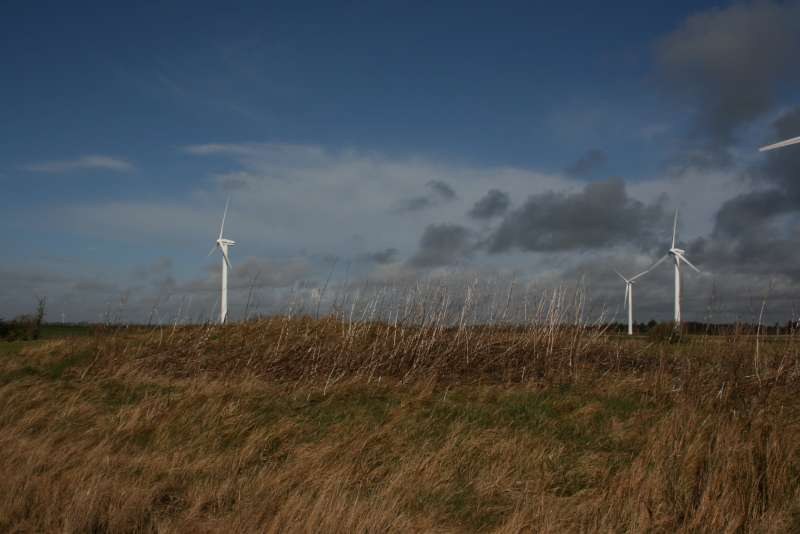 Ein Windturbinenfeld auf einer grünen Wiese mit Bäumen und Wolken im Hintergrund, wahrscheinlich Teil eines Windparks in den Niederlanden.