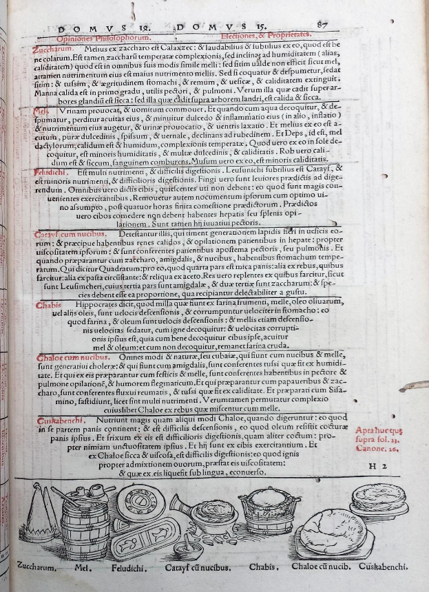 Offenes Buch mit einer Seite mit Text in verschiedenen Schriftarten und Farben neben lebensechten Illustrationen von Obst, Gemüse und Getreide.