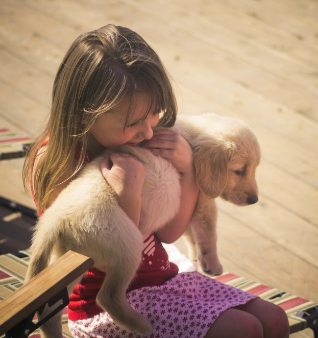 Ein Mädchen hält einen Hund.