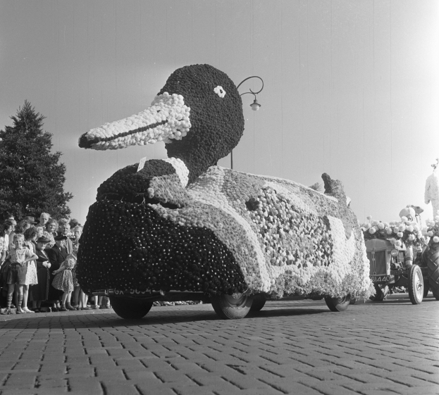 Ein Schwarz-Weiß-Foto eines Entenwagens bei einem Umzug, geschmückt mit Blumen, mit Menschen auf der linken Seite und Bäumen und einem klaren Himmel im Hintergrund.