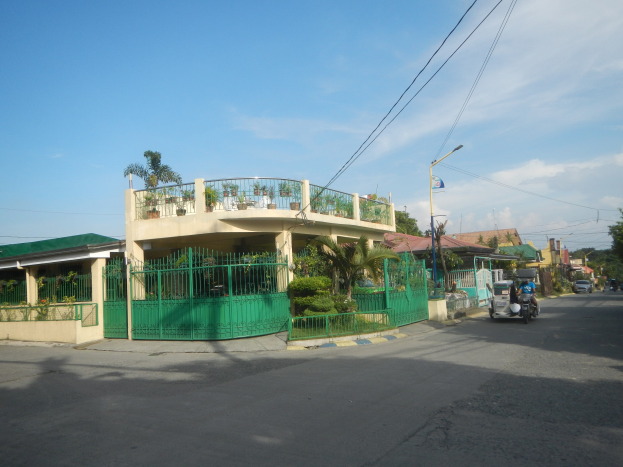 Eine Straße mit fahrenden Fahrzeugen, ein grünes Gebäude mit einem passenden Zaun, Geländern, Vegetation, Strommasten mit Lampen und Drähten sowie eine Fahne vor einem bewölkten Himmel.