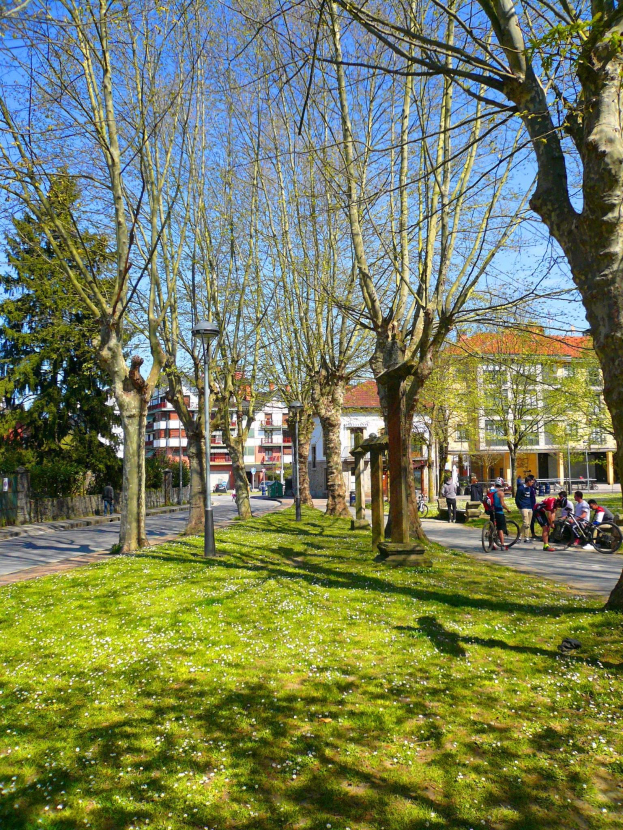 Ein Park mit grünem Gras und Bäumen, Menschen zu Fuß und Rad fahren auf einer Straße, mit Gebäuden und einem blauen Himmel im Hintergrund.