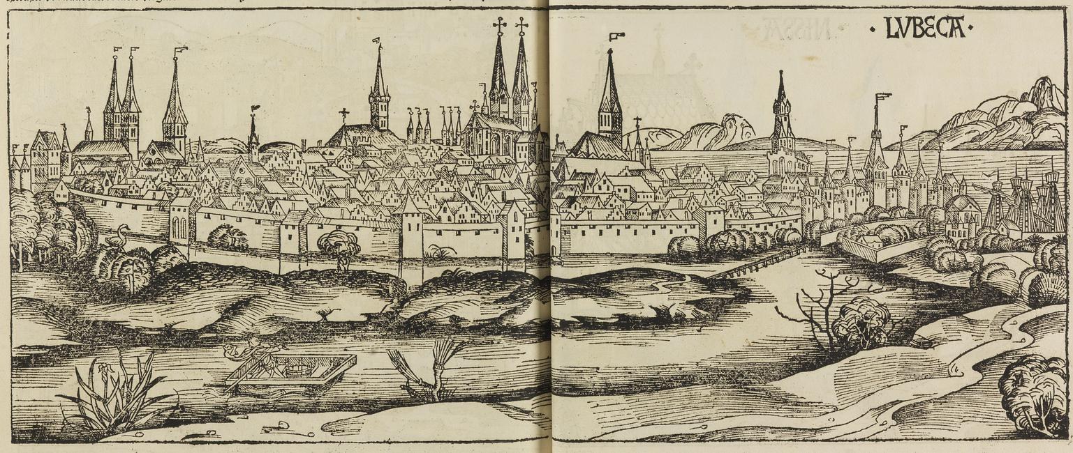 Offenes Buch mit einer detaillierten Illustration aus dem 16. Jahrhundert von Lwiw, Ukraine, das Gebäude, Bäume, Pflanzen, Wasser und Text auf den Seiten zeigt.