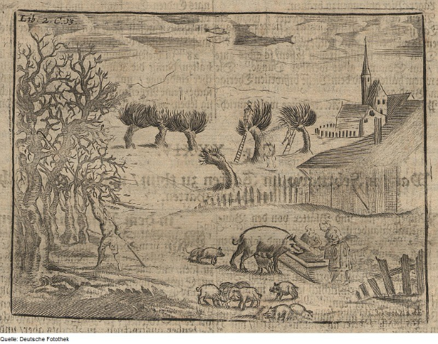 Gravur einer Bauernszene mit Schweinen und einem Mann im Vordergrund, umgeben von Bäumen, Häusern und einem Zaun sowie Text am unteren Rand.