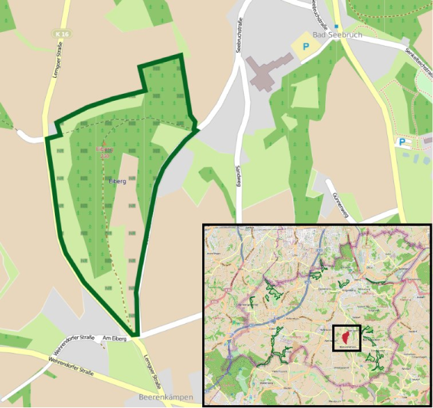 Ein detaillierter Stadtplan mit einem zentralen grünen Bereich, der als geplanter Baustandort markiert ist, umgeben von Straßen, Gebäuden und Sehenswürdigkeiten.