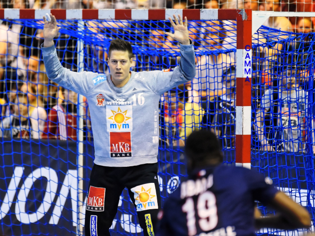 Ein Handballspieler hebt die Hände in der Nähe eines Tores, mit einer Zuschauermenge im Hintergrund und einem "Futsal-Weltmeisterschaft 2019"-Schild dahinter.